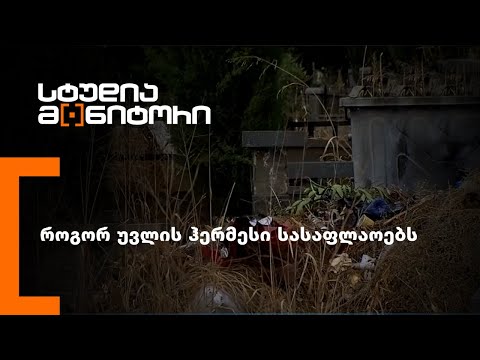 როგორ უვლის ჰერმესი სასაფლაოებს