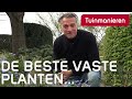 De beste vaste planten in de lente  april  tuinmanieren