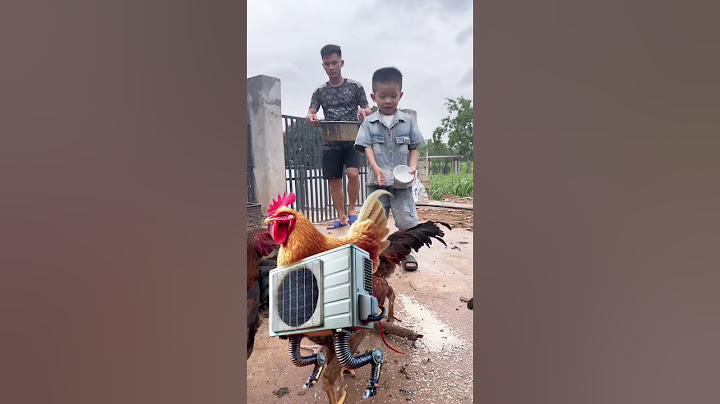 Lùn Tìm Các Nhân Vật BRAINROT Xung Quanh Nhà P3 | Tippi Vips #tippitv