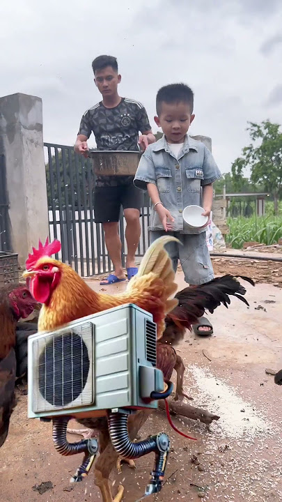 Lùn Tìm Các Nhân Vật BRAINROT Xung Quanh Nhà P3 | Tippi Vips #tippitv