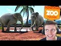 O INICIO do MEU ZOOLÓGICO!!! - Zoológico do Lipão #01