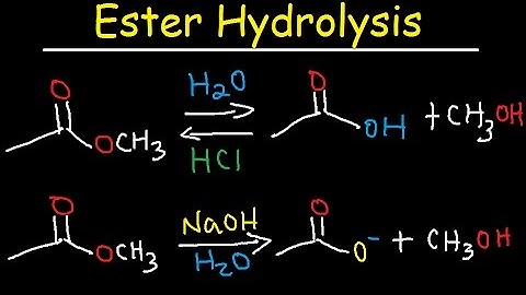 Ester Hydrolysis Reaction Mechanism - Acid Catalyzed & Base Promoted   Organic Chemistry