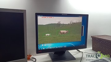Animal Tracking using TraCoMo Cameras