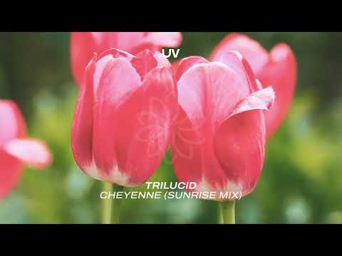 Trilucid - Cheyenne (Sunrise Mix)