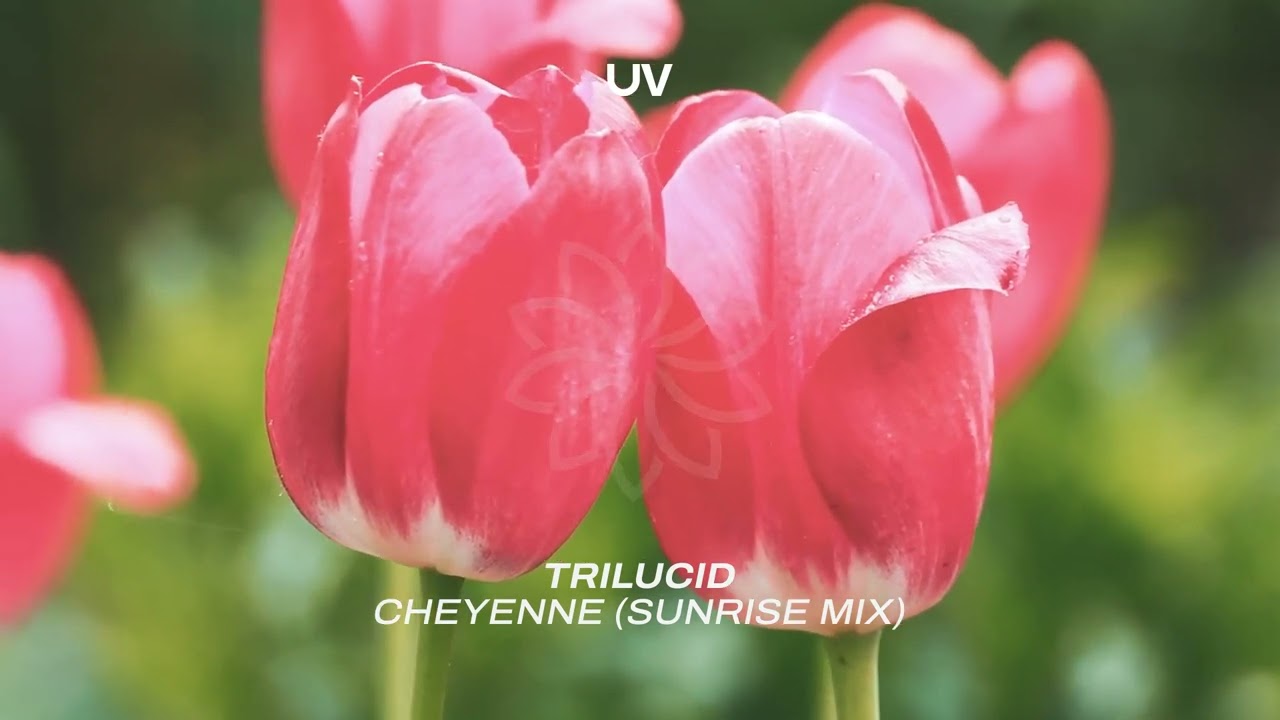 Trilucid - Cheyenne (Sunrise Mix)