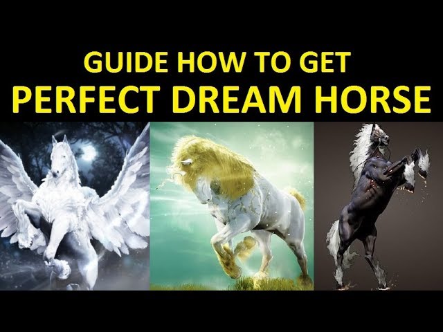 How to dream horse bdo