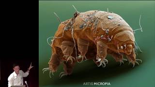Download lagu Micropia Micropia