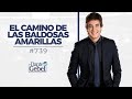 Dante Gebel #739 | El camino de baldosas amarillas