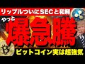 ビットコイン過去最高に超強気。リップルはSECと和解、そしてETF申請承認へ！【仮想通貨 暗号通貨 ビットコイン FX リップル】