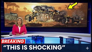 Florida Kept Losing Its Crocodiles For Months — What They Finally Found Is Terrifying