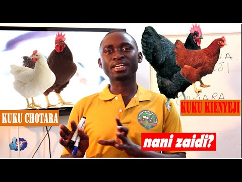 Video: Je! ni njia gani ya wingi katika ufugaji wa mimea?