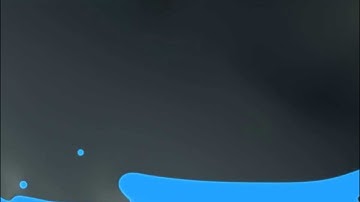 Lattice Boltzmann Method - Binary Mixture Flow with Gravity