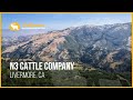 N3 Cattle Company | Livermore, CA