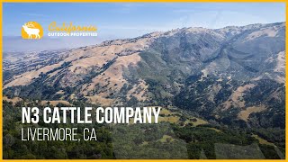 N3 Cattle Company | Livermore, CA