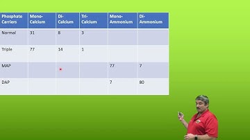 A Deep Dive into Phosphorus