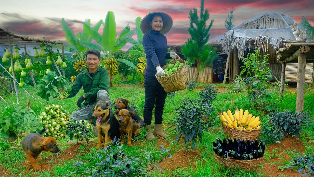 Full video: Massive Harvest After 1,000 Days of Farming!