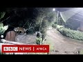 Lion caught on cctv snatching a rottweiler  bbc africa