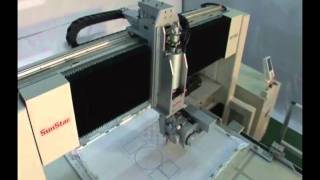 SunStar Head Turning B2 Type.wmv