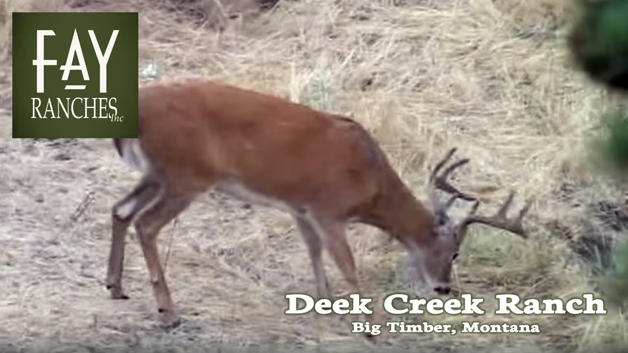 SOLD Montana Hunting Ranches For Sale Deer Creek Ranch Big Timber