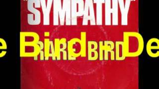 Watch Rare Bird Devils High Concern video