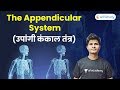 12:00 PM - Skeletal System by Neeraj Sir | The Appendicular Skeleton Anatomy, Bones, Muscles