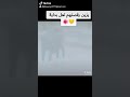 احبكم يا اخواني احمد عادل موسى