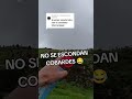 Esconderse es de cobardes. 😂 #rallyislascanarias2026 #wrc #aficion #tiktok