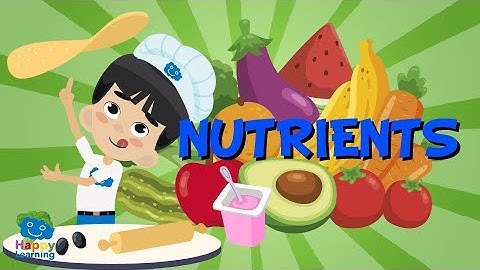 NUTRIENTS | Educational Videos for Kids