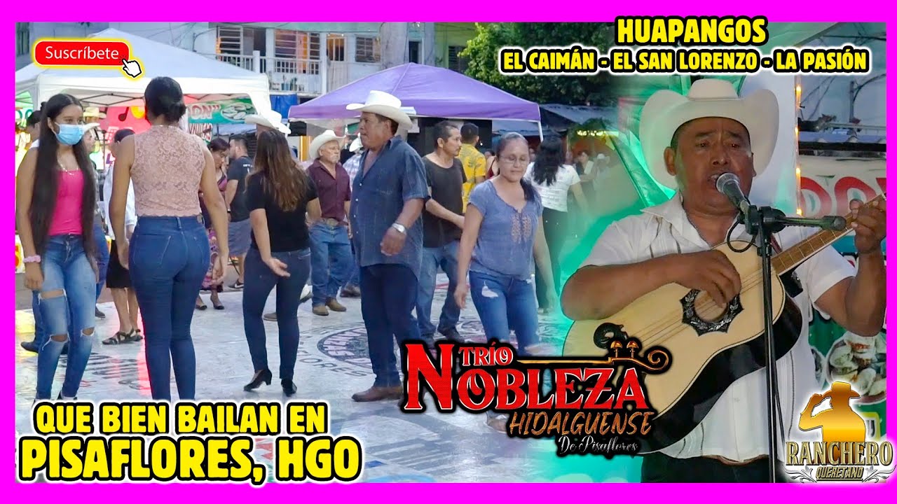 Que bien bailan Huapango en Pisaflores Hidalgo