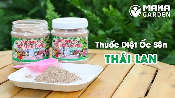 Thuốc diệt ốc sên hiệu quả Saponin 15 của Thái Lan | MakaGarden.vn