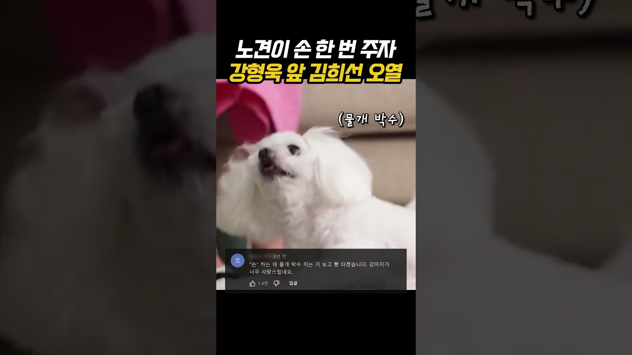 노견이 손 한 번 주자 강형욱 앞 김희선 오열