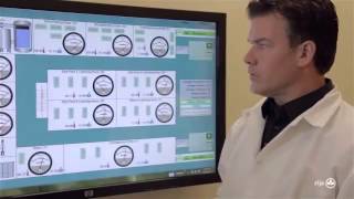 Introduction to Zija International "Moringa Oleifera" - The Miracle Tree