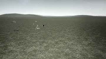 Shadow the Hedgehog vs Sakuya Izayoi 2