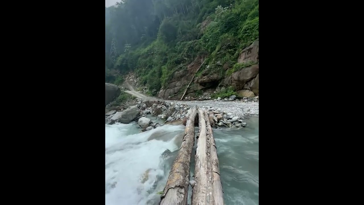 Nature’s Wild Heart 🏔️🌊