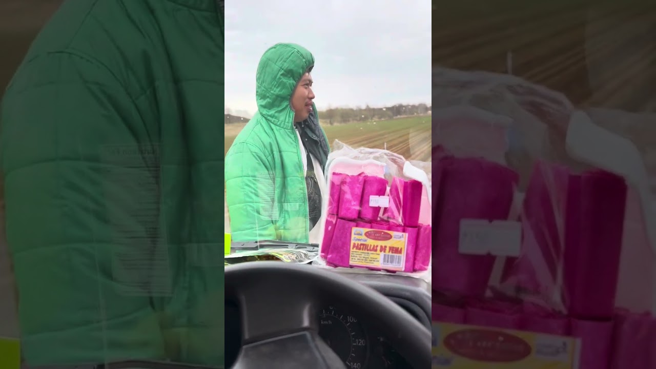 Onion planting #onionfarming #agriculture #farming #machine #planting