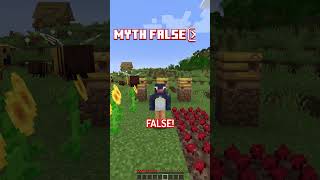 Minecraft Myth Busting...