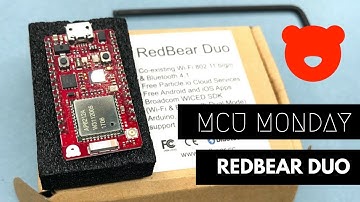 Live Build: Red Bear Duo Setup Demo