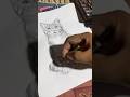 cat sketch #cat #art #viral #shorts