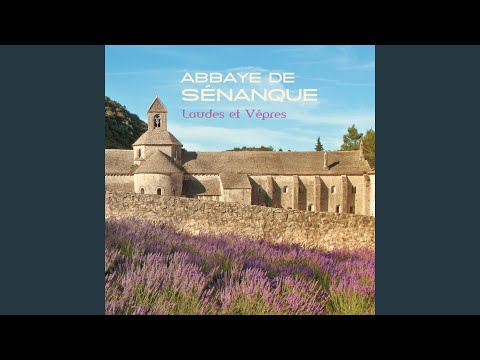 laudes---antienne-à-la-vierge-marie-'tu-es-toute-belle,-Ô-marie!-'