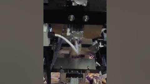 E4230 vertical packing machine pillow bag package operation video 3 from Wilpac