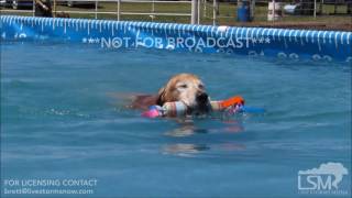 July 8, 2017 Independence, Iowa Dock Dog Competition