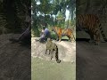 Tiger attack satakosia youtube chandanpradhan77 viral tiger animals trending shorts