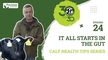 Calf Health Tips - Episode 24: It All Starts In The Gut