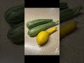 This garden harvest feeds the whole family #FarmLife #GardenRecipe