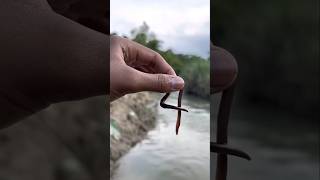 Survival skill: 😝💦💦water purification in the wild #camping#survival#outdoors #bushcraft
