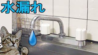 水漏れ修理 コマパッキン（ケレップ）交換方法（水道水栓蛇口）