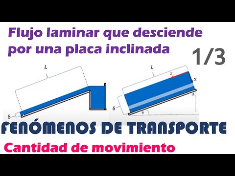 Video: Movimiento Fluido Por La Oficina