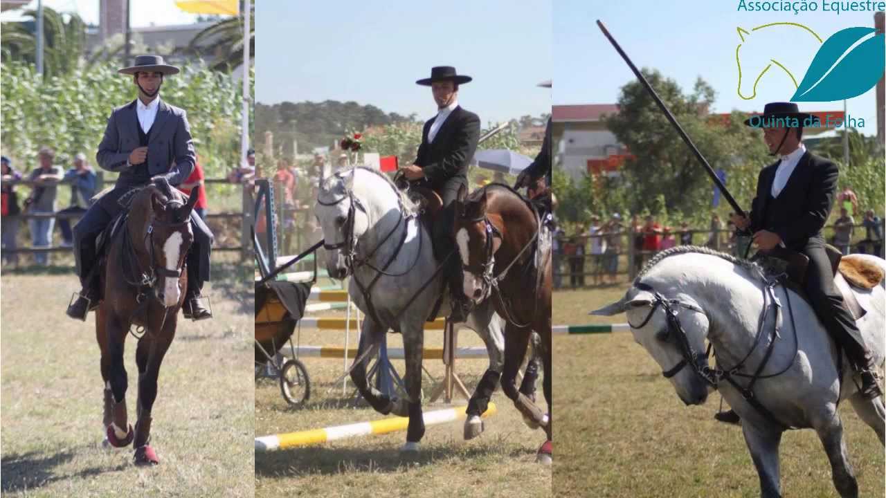 Quinta da Folha - Associação Equestre e Quinta da Folha - Eventos