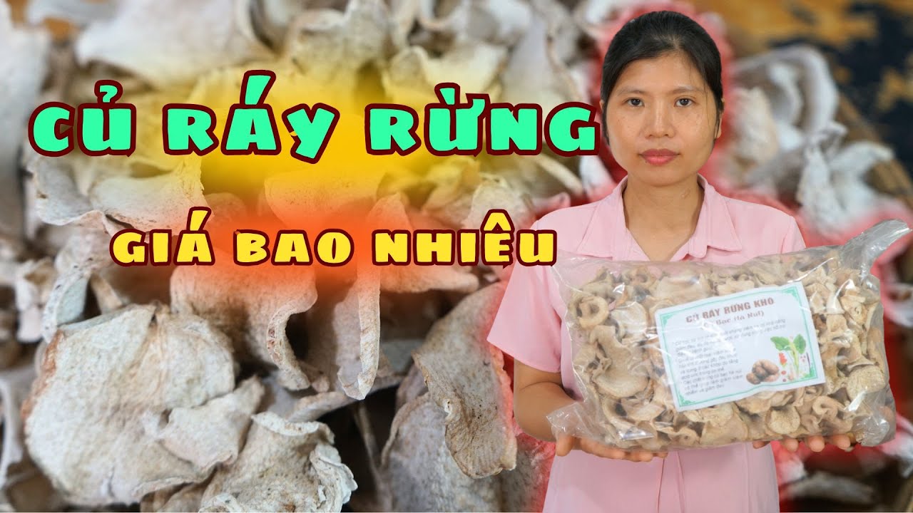 Củ Ráy Rừng Khô Giá Bao Nhiêu - Tác Dụng Củ Ráy. - YouTube