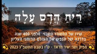 ריח הדס עלה B minor  יאיר חדאד  שיר חזיון רוחני של השבזי